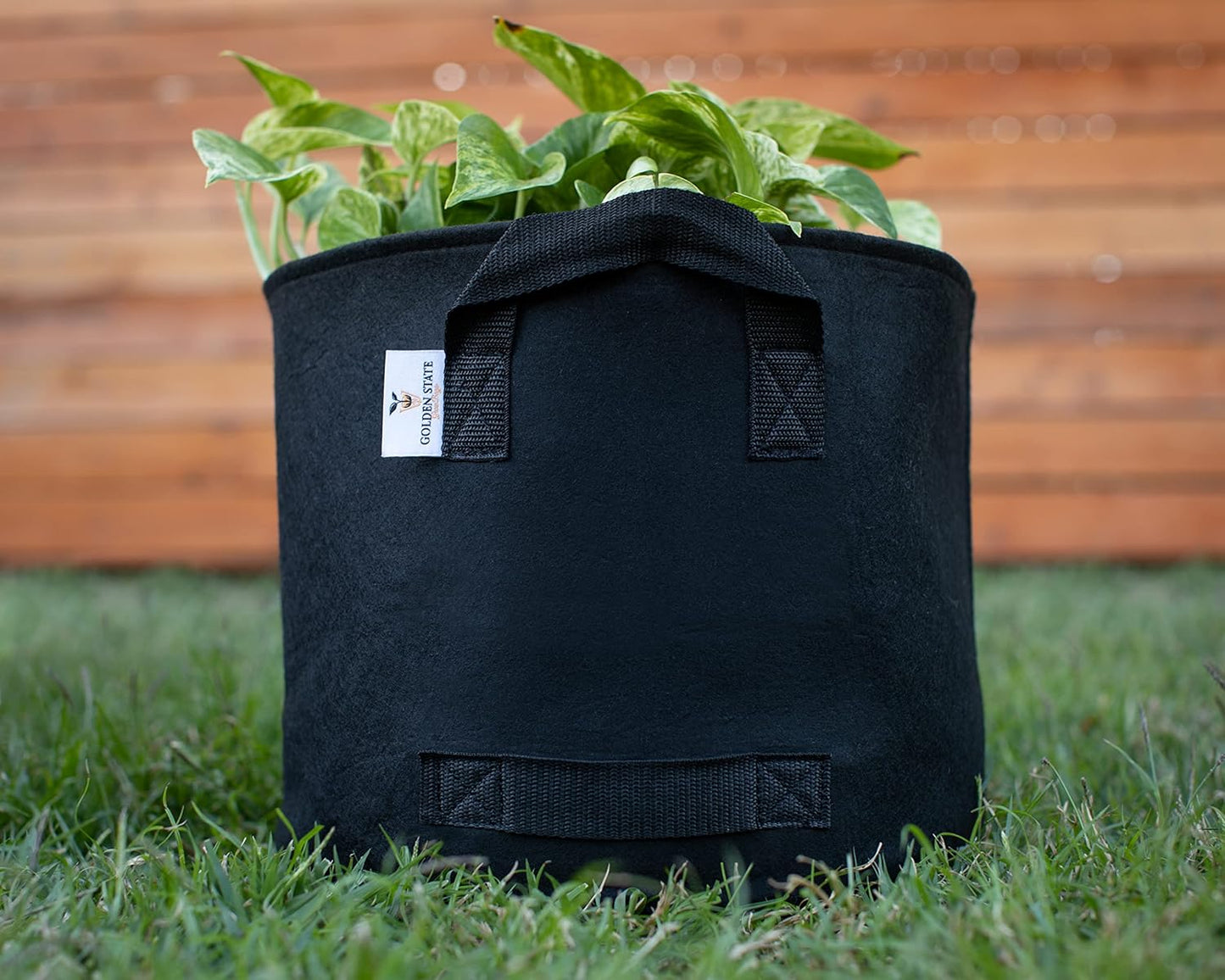 Grow Bags: 5-Pack (Size: 2 Gallon): 300gsm Black Felt Fabric, Biodegradable and eco-Friendly Material. (Handles + Dumping Handles-pat.Pend).