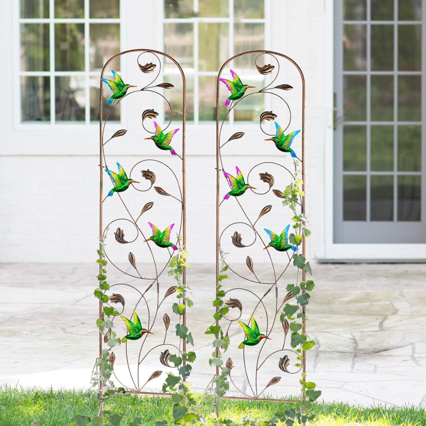 LEWIS&WAYNE 2 Pack Metal Garden Trellis with Colorful Hummingbird 60 Inch High Outdoor Decoration Arched Fence Trellis for Climbing Plants for Patio, Lawn, Yard, Backyard, Wall Brackets