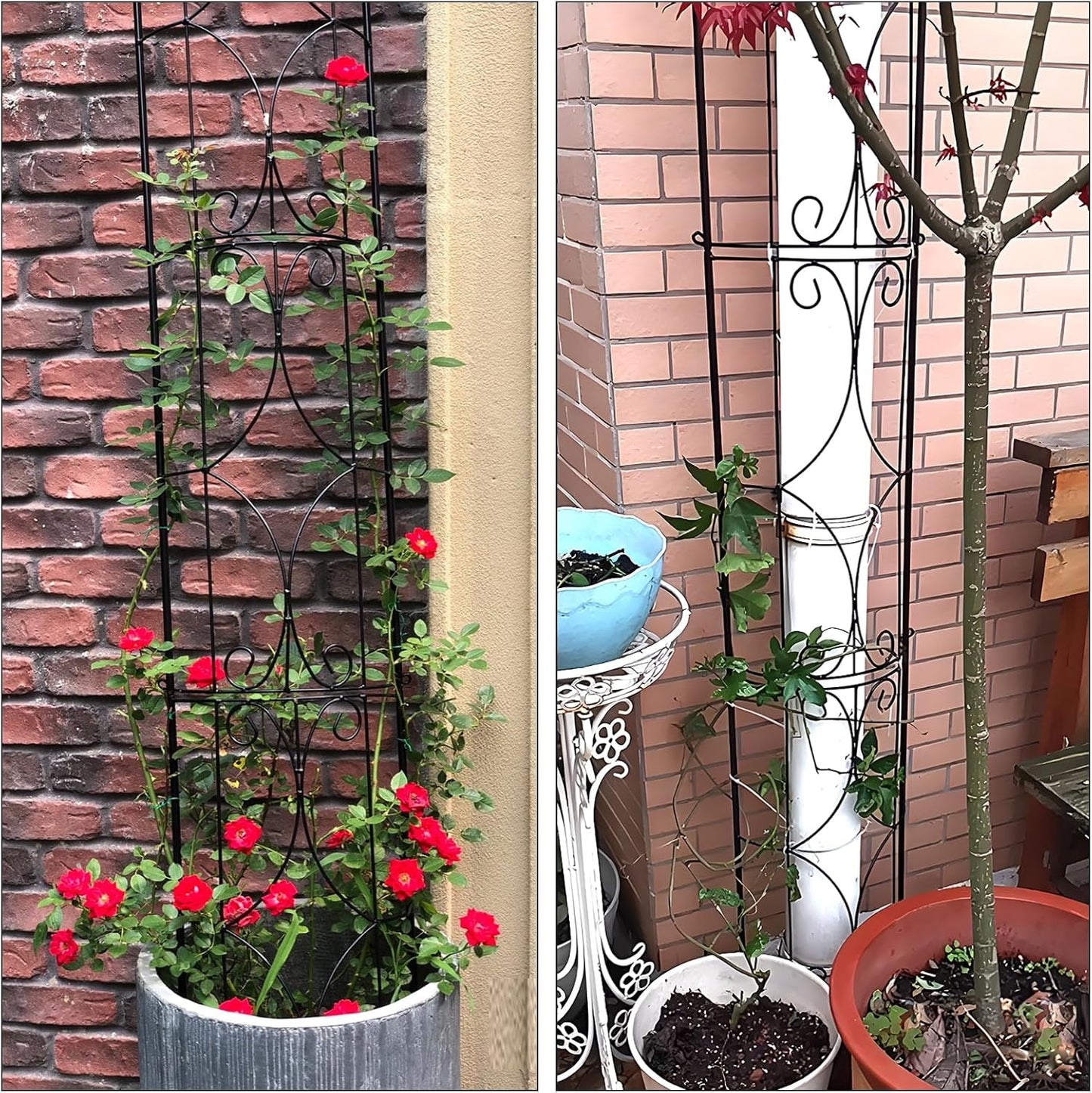 Garden Trellis 2 Pack 72'' H x 12'' W Metal Plant Trellis Indoor/Outdoor Metal Garden Trellis Plant Trellis for Potted Plants Climbing Houseplants Flowers