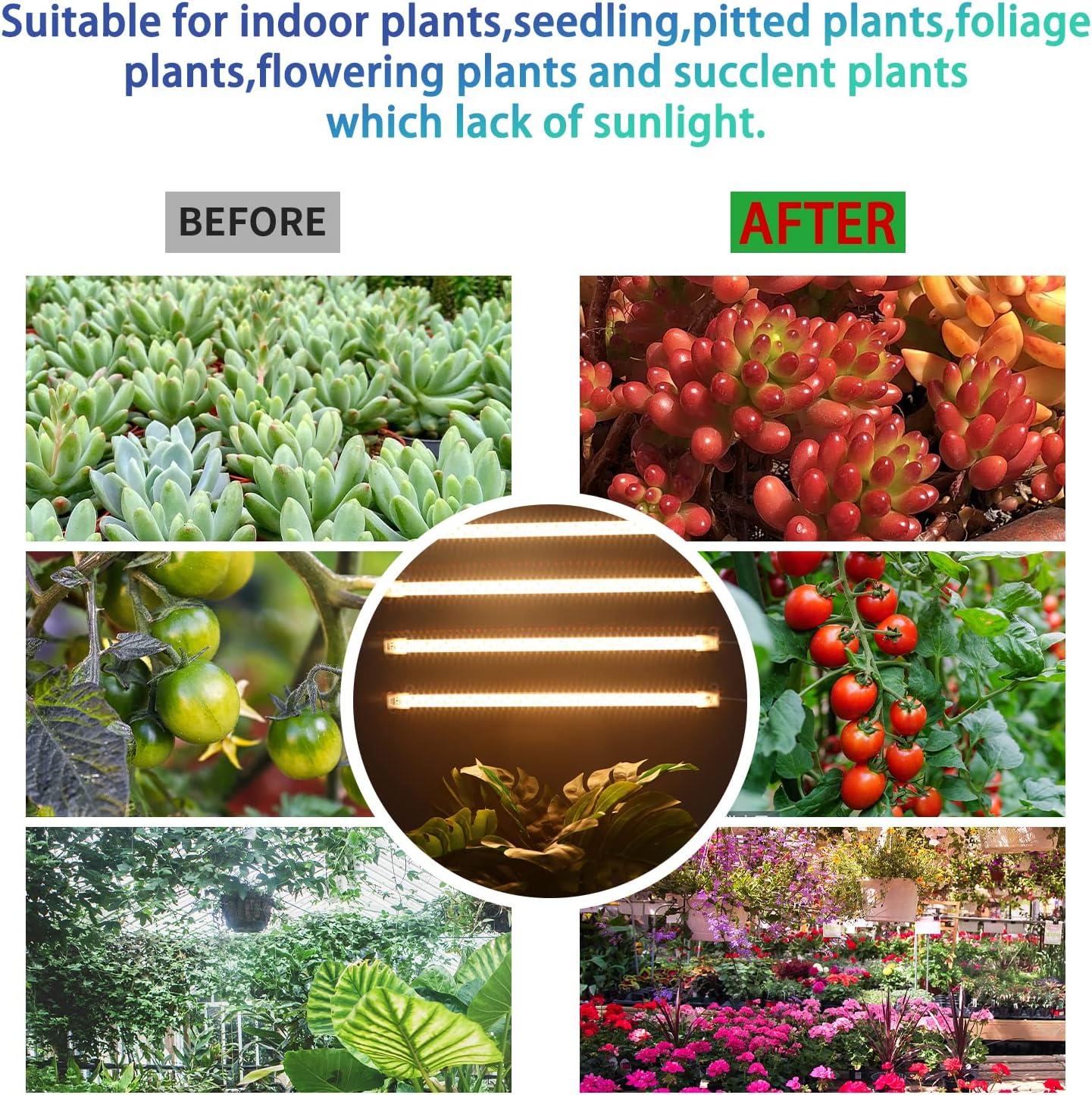 Grow Light Two Heads, Strip Growing lamp, Full Spectrum Grow Light Strips for Indoor Plants with Auto ON/Off Timer & 4 Dimmable Levels, Led Grow Lamp for Green House Hydroponics Succulent