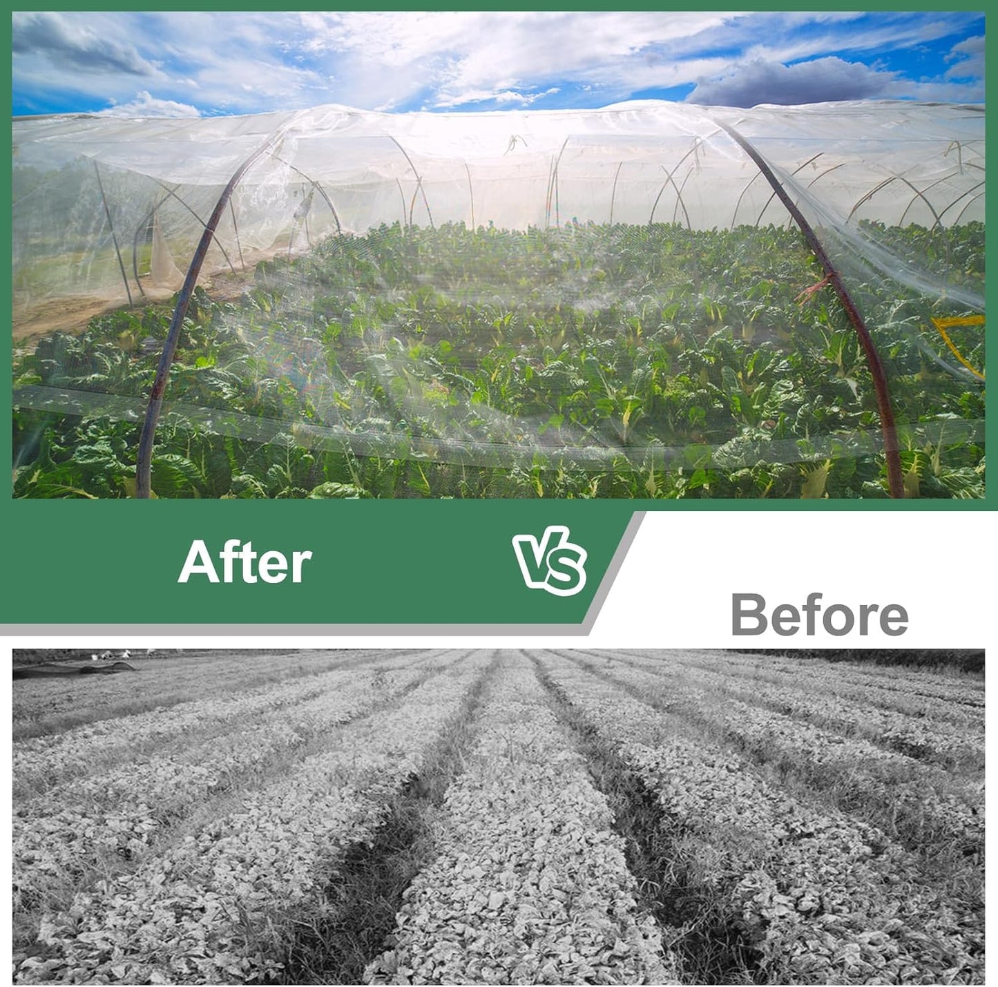 Garden Netting Pest Barrier 10X33FT Ultra Fine Garden Neting Plant Cover Garden Mesh Barrier Garden Netting for Raised Beds Insect Netting Mesh Cover Protection for Vegetable Flower Fruits Greenhouse