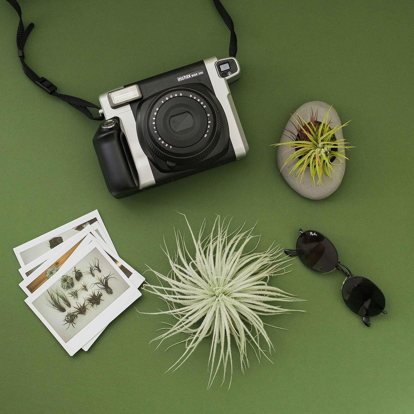 Air Plant Shop 25 Pack Rare Tectorum Ecuador Air Plants - Unique, Bright White, Nursery-Grown Tillandsia House Plant with Fuzzy Trichomes for Terrariums, Driftwood & Living Walls - Wholesale