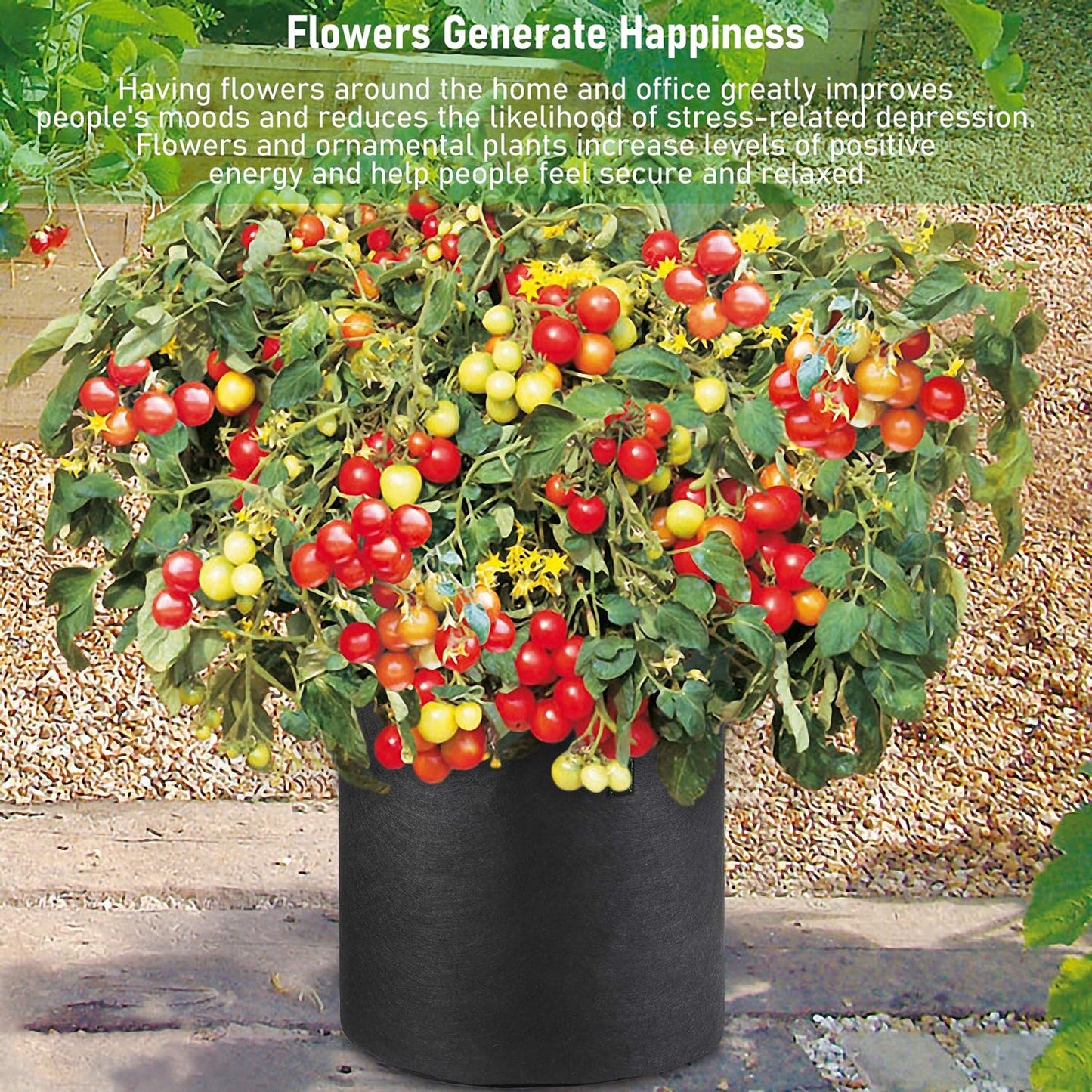 Grow Bags Set - 7 Gallons 5 Pack, Black Fabric Grow Pots for Indoor and Outdoor Planting, Cultivate Your Crops with Ease