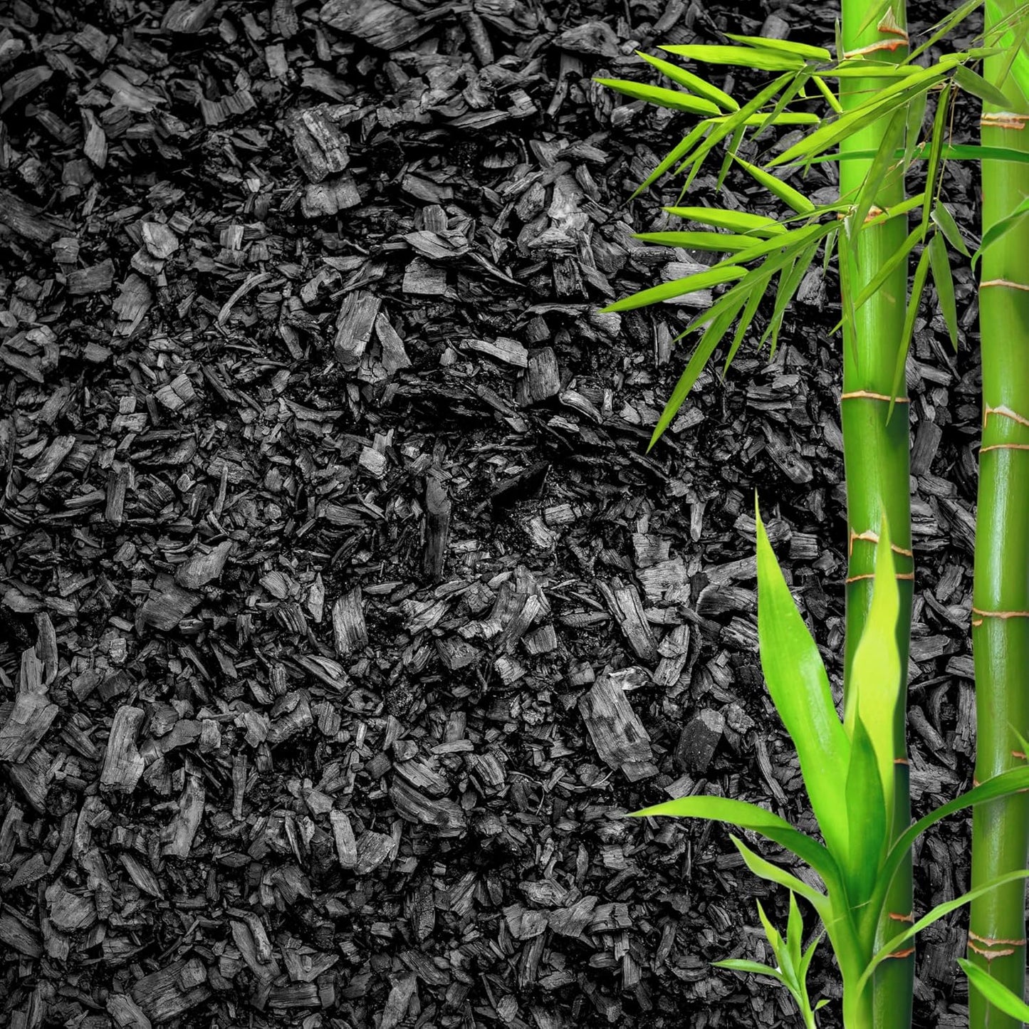 Horticultural Charcoal for Plants β Organic Bio Char Soil Amendment for Terrariums, Indoor Plants & Gardening, Made in USA (30 quarts)