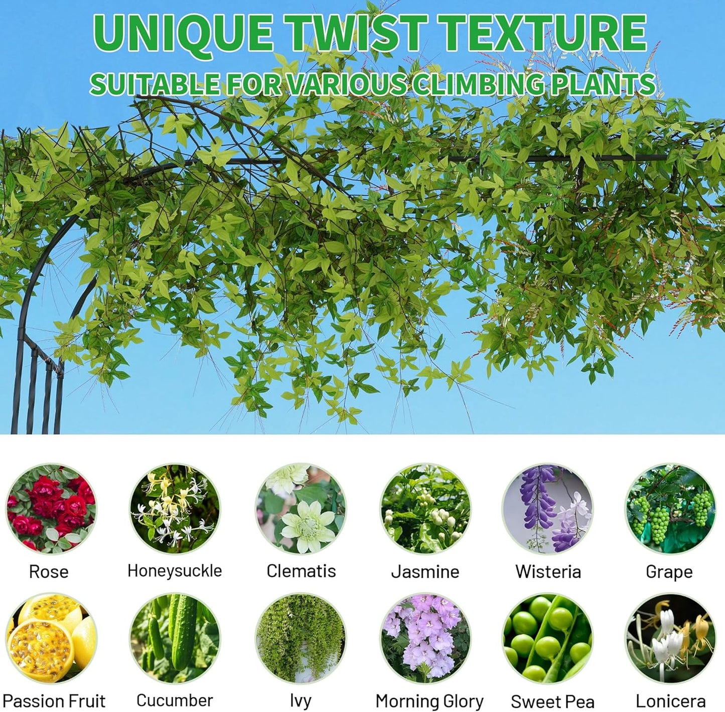 Garden Arch Trellis, Trellis Arch for Climbing Plants Outdoor, 10.5 x 7.9FT Metal Full Garden Arbor, Trellises for Patio Lawn Backyard, Large Garden Archway Decoration Black 126" x 94.5in