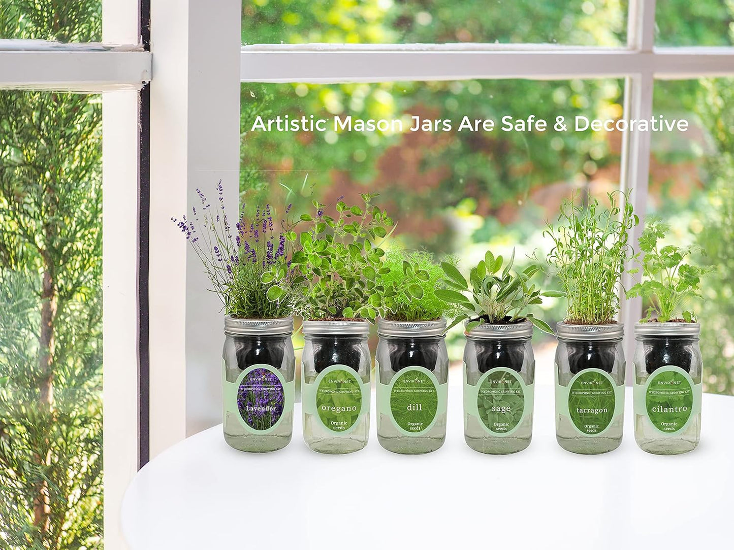 Hydroponic Herb Growing Kit Set, Self-Watering Mason Jar Herb Garden Starter Kit Indoor, Window Herbs Garden, Grow Your Own Herbs from Organic Seeds (Basil, Cilantro and Mint)