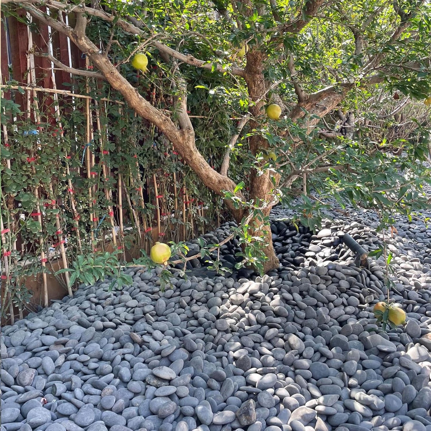 20 lbs Natural Unpolished Black Rocks Mexican Beach Pebbles, 2-3 Inch Decorative Black River Rocks for Outdoor Landscaping, Garden Paving, Plant Rocks, Fountain and Walkways