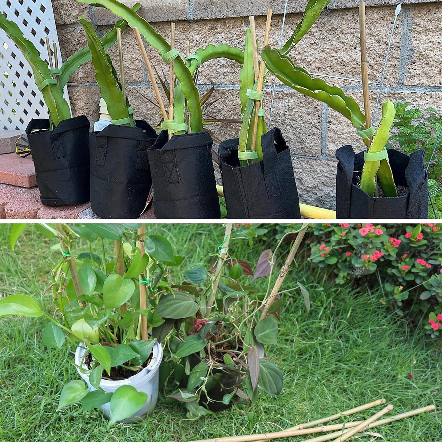 50Pcs / 16 inch Bamboo Plant Stakes for Indoor Outdoor Plants, Garden Plant Support Sticks, Poles for Tomato Vegetables Beans Trees Potted Climbing Plants(0.32'')