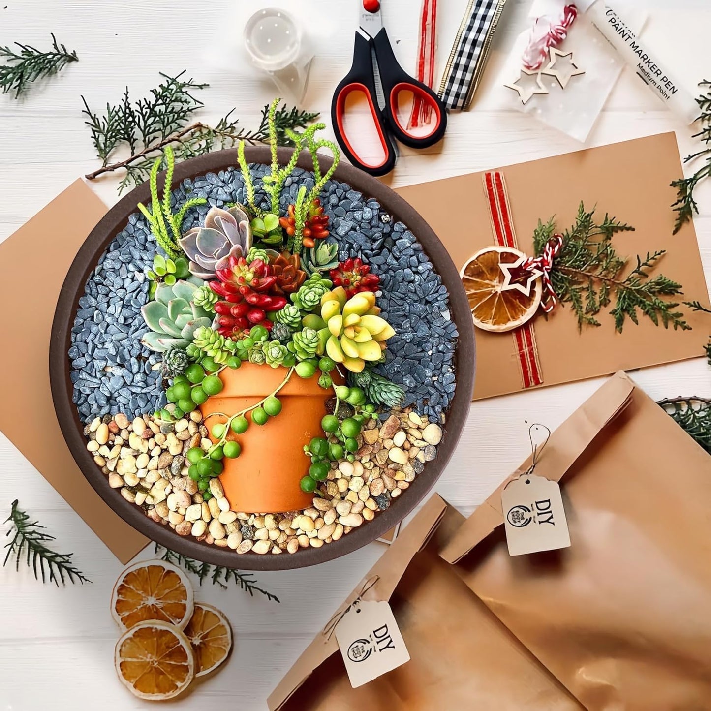 SQOWL 10 Inch Large Terracotta Planter Pot,Clay Succulent Bonsai Planter with Drainage Hole and Bamboo Saucer for Indoor Plants