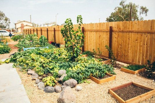 Transform Your Backyard Into a Sustainable Oasis: Essential Garden Tools and Eco-Friendly Supplies You Need