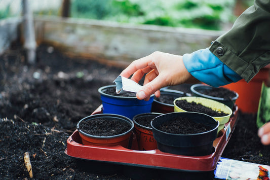 From Seeds to Bloom: The Complete Guide to Starting a Home Garden with the Right Supplies