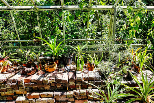 The Ultimate Fall Garden Prep Guide: Tools, Soil, and Supplies Every American Gardener Needs