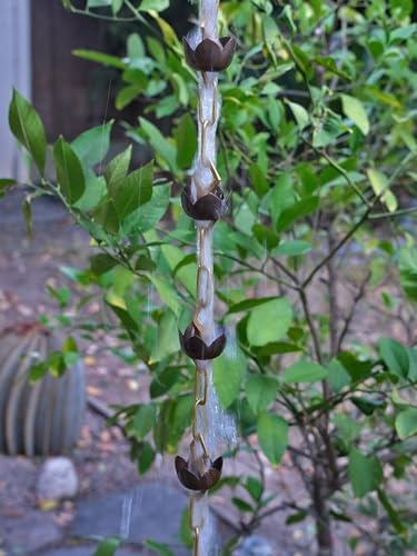 Nutshell Stores Lotus Rain Chain - 14 Feet