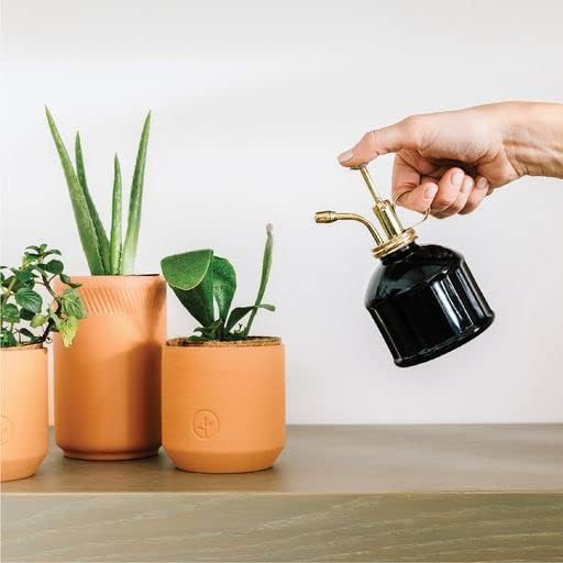 Modern Sprout Plant Mister, 8 oz Indoor Watering Can, Aesthetic Plant Sprayer & Water Mister Spray Bottle, Garden Watering Can for Seed Starting, Vintage-Inspired Gift for Green Lovers - Black