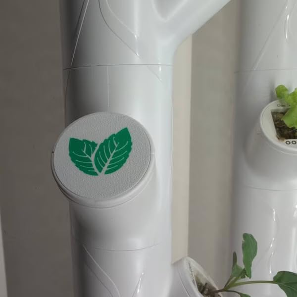 Grow Cubes for Hydroponic System/Compatible with Gardyn (10 Grow Cubes / 10 W&B caps)