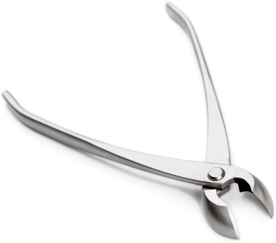tianbonsai Bonsai Tools 205 Mm Round Edge Cutter Multifunctional Bonsai Cutter With Both Straight Edge And Round Edge
