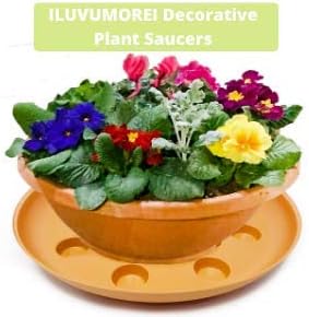2 Pack of 14 inch Plastic Terracotta Colored Round Plant Saucer, Lighter Plastic Tray for Indoors and Outdoors, Durable Flower Pot Planter Saucers (2 Pack - 14")