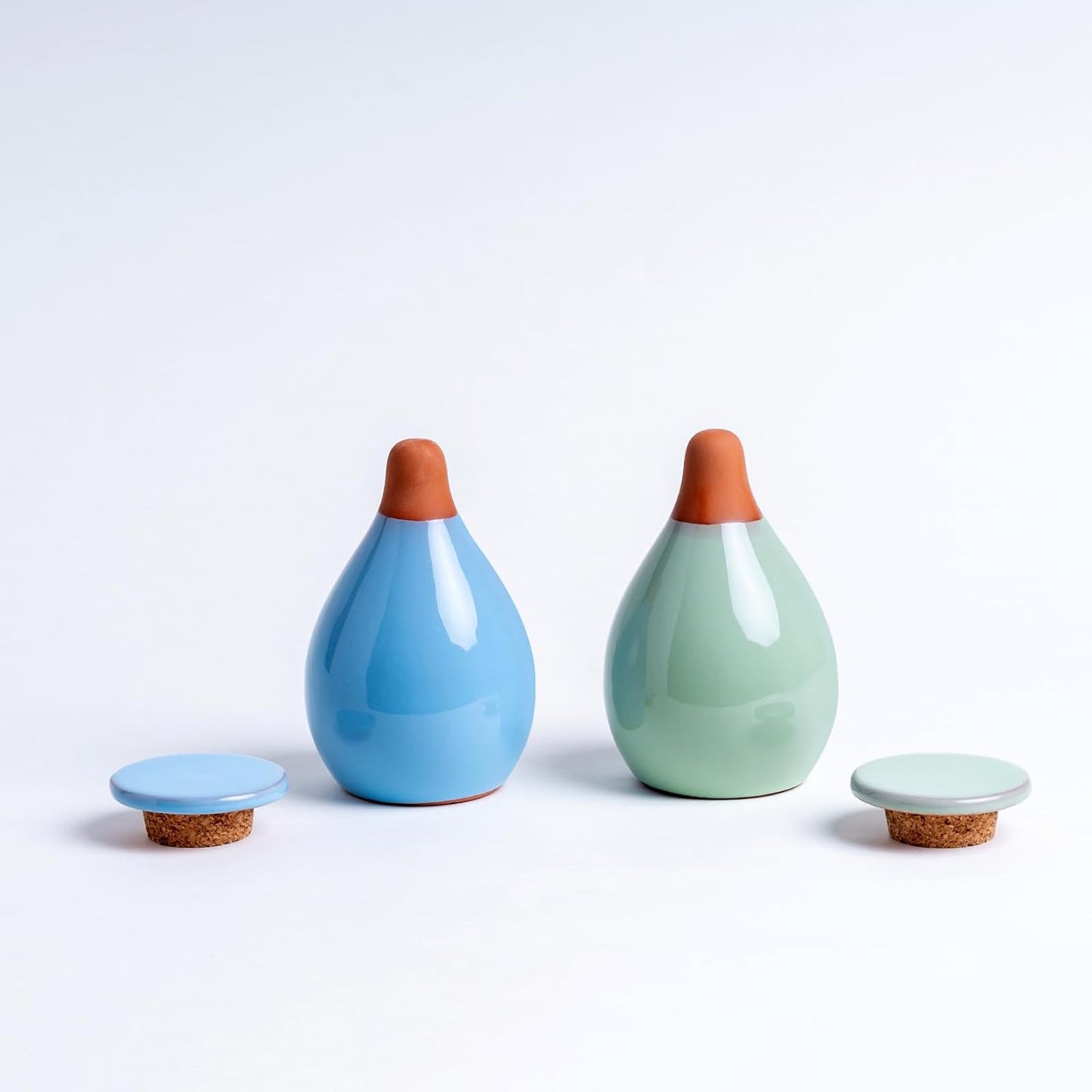 Self-Watering Planter Insert - 2 Pack Automatic Watering System for Indoor and Outdoor Potted Plants - Eco-Friendly Blue & Green Design with 300ml Capacity for Vacation Moisture Control