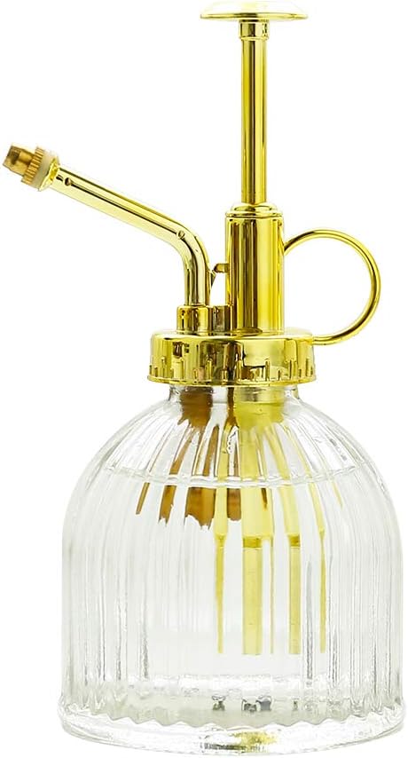 Glass Plant Mister Spray Bottle, Vintage Plant Water Spritzer, Succulent Watering Bottle with Gold Top Pump, Decorative Glass Sprayer Mister Small Watering Can for Indoor Houseplant - Clear