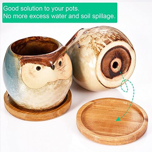Frienda Trays 2.52 Inch Bamboo Round Plant Saucer for Most Plant Pot Flower Saucers Tray, Solution for Owl Pot with Hole(6 Pack)