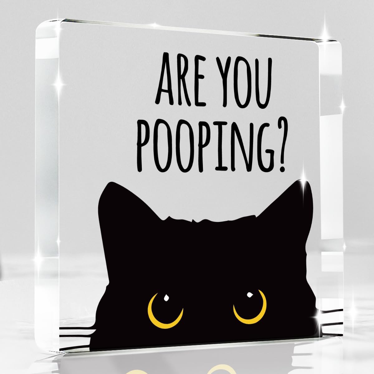 Are You Pooping Funny Sign，Black Cat Decor， Cat Bathroom Decor，Home Decor Bathroom Acrylic Creative Gift Cat Gifts for Women Cat Lovers，Funny Decorate Retro for Home Toilet 4x4 Inches