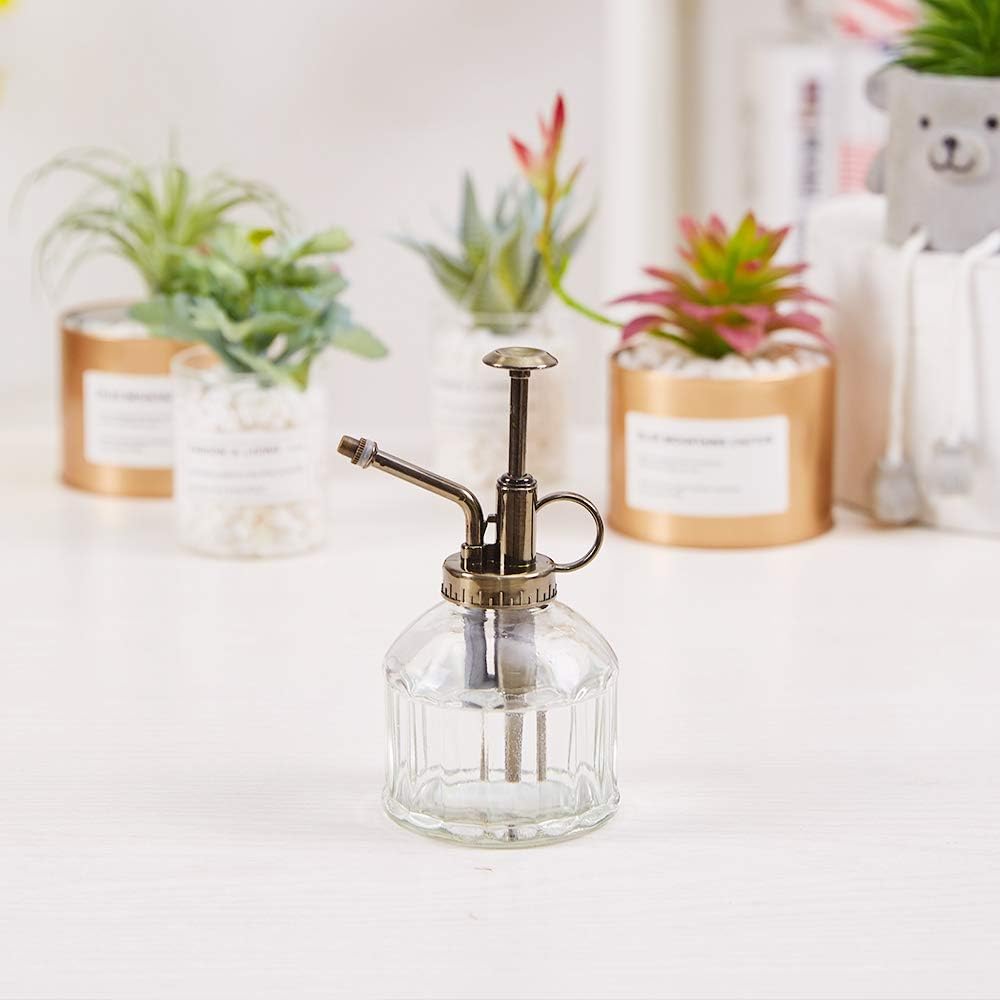 Glass Plant Mister Spray Bottle, 6.5" Tall Vintage Plant Water Spritzer Sprayer, Succulent Watering Bottle with Top Pump, Small Glass Watering Can for Indoor Outdoor Houseplant - Clear