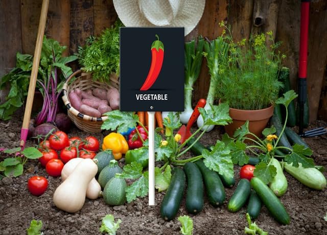 Eveokoki Aluminum Seed & Plant Labels - Plant Markes for Seedlings-Plant Tags for Pots - Garden Signs for Vegetable - Durable Markers for Plants Outdoor Waterproof - Garden Decor for Farmhouse