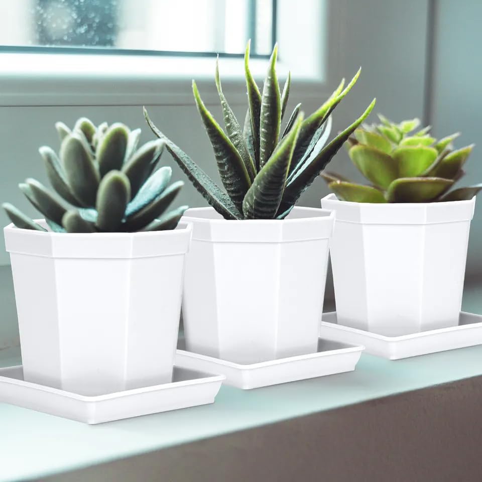Square Plant Saucer 10 Inch, 5 Pack Plastic Plant Water Dray Tray Plants, Pot Saucers for Plants Square Planters for Indoors and Outdoors Plants，Saucer for Plant Pots.