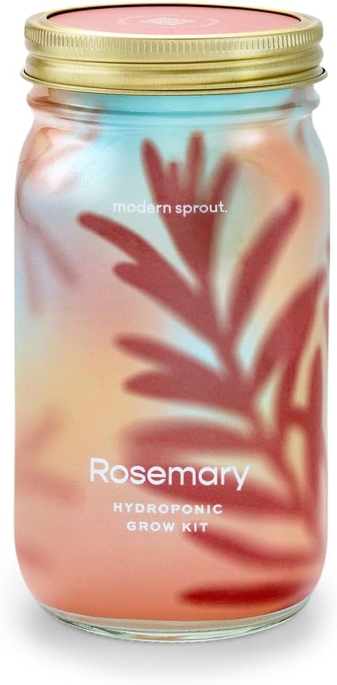 Modern Sprout Mason Garden Jar - Self-Watering Hydroponics Growing System Kit with Organic Herb Seeds - Jar Planter for Indoor Herb Garden - Seed Starter Kit - Home Decor & Gifting - Rosemary