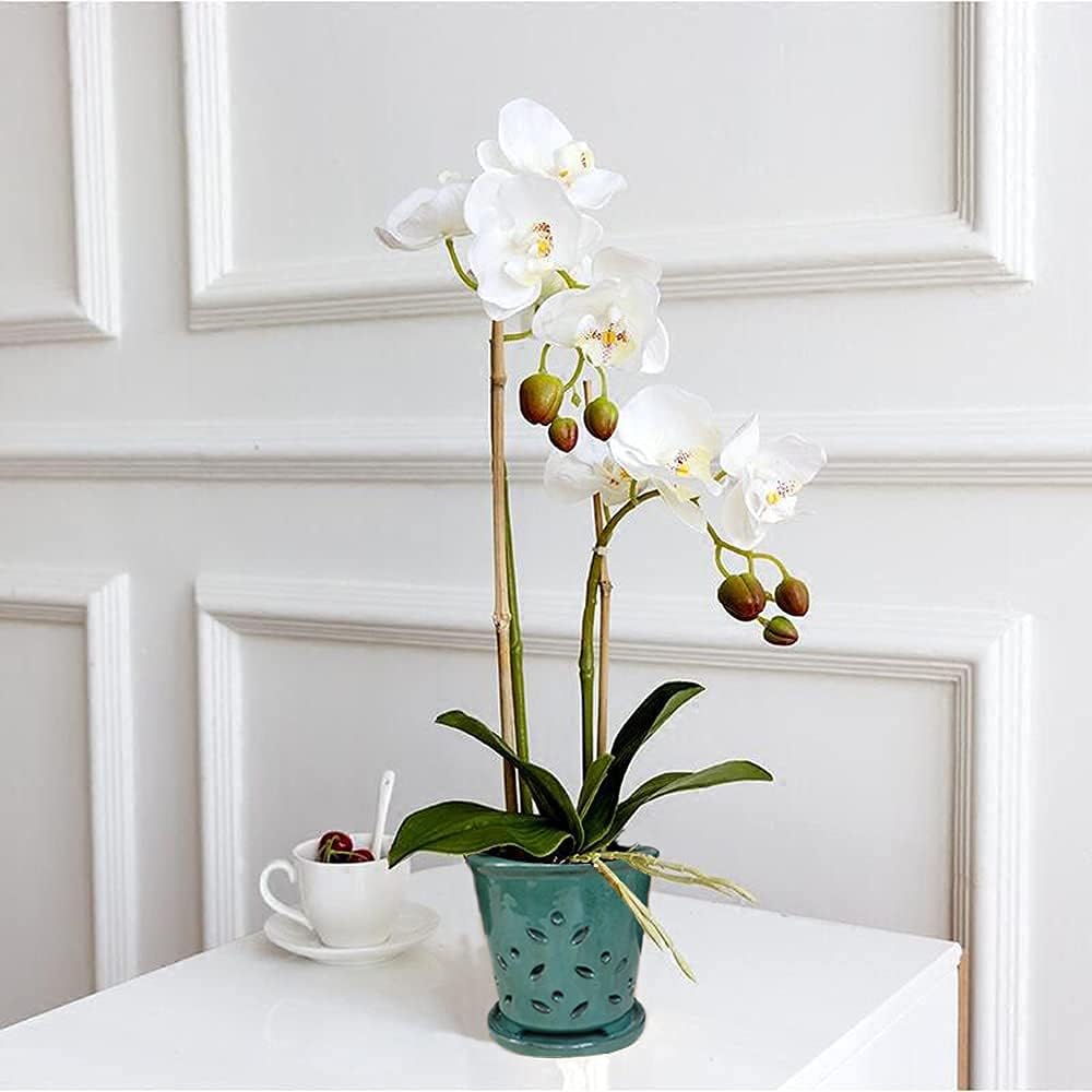 Forest Green Ceramic Orchid Pot with Holes & Saucer - 6" Round Contemporary Home Decoration