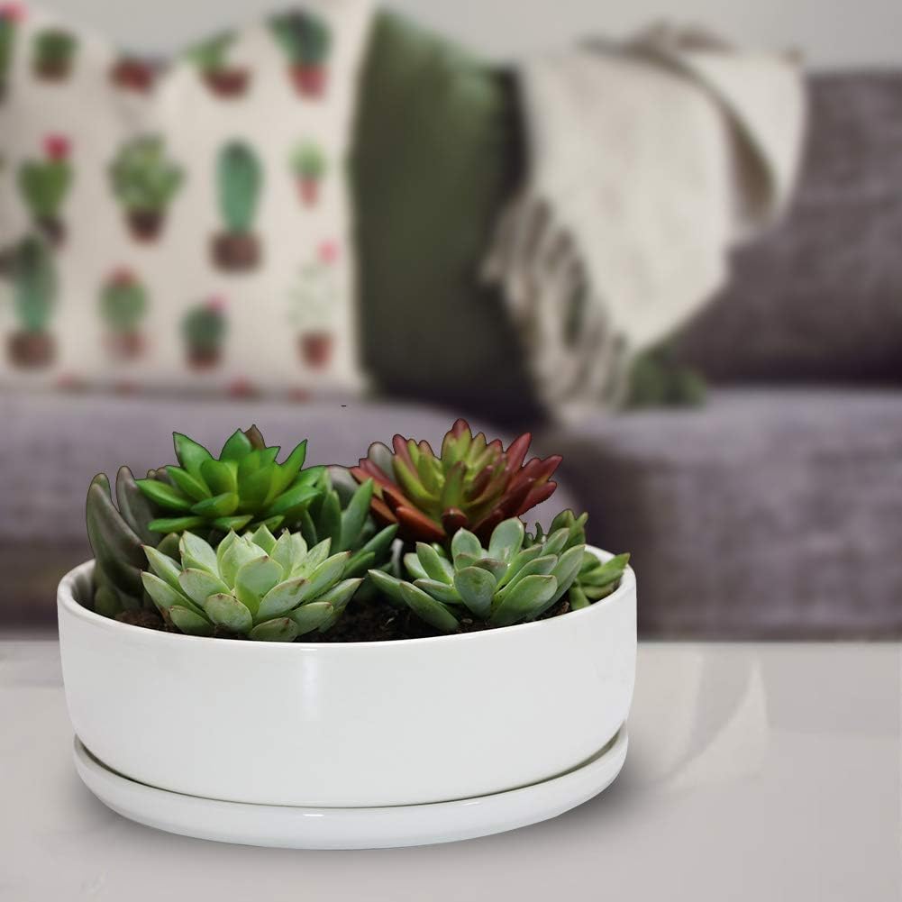 SQOWL 8 inch White Round Ceramic Succulent Planter Pot Modern Flower Cactus herb Big Planter with Removable Saucer Indoor or Outdoor