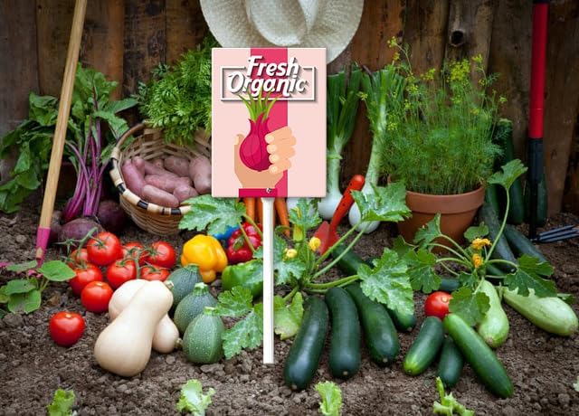 Eveokoki Aluminum Seed & Plant Labels - Plant Markes for Seedlings-Plant Tags for Pots - Garden Signs for Vegetable - Durable Markers for Plants Outdoor Waterproof - Garden Decor for Farmhouse