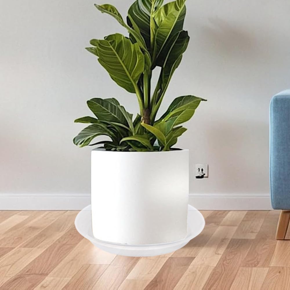 2 Pack Clear Plant Saucer Drip Tray 11 12 inch, Pot Base for Plants Indoor, Plastic Flower Planter Saucers and Drip Trays for, Heavy Durable Plant Plate Water Catcher (12", Clear)