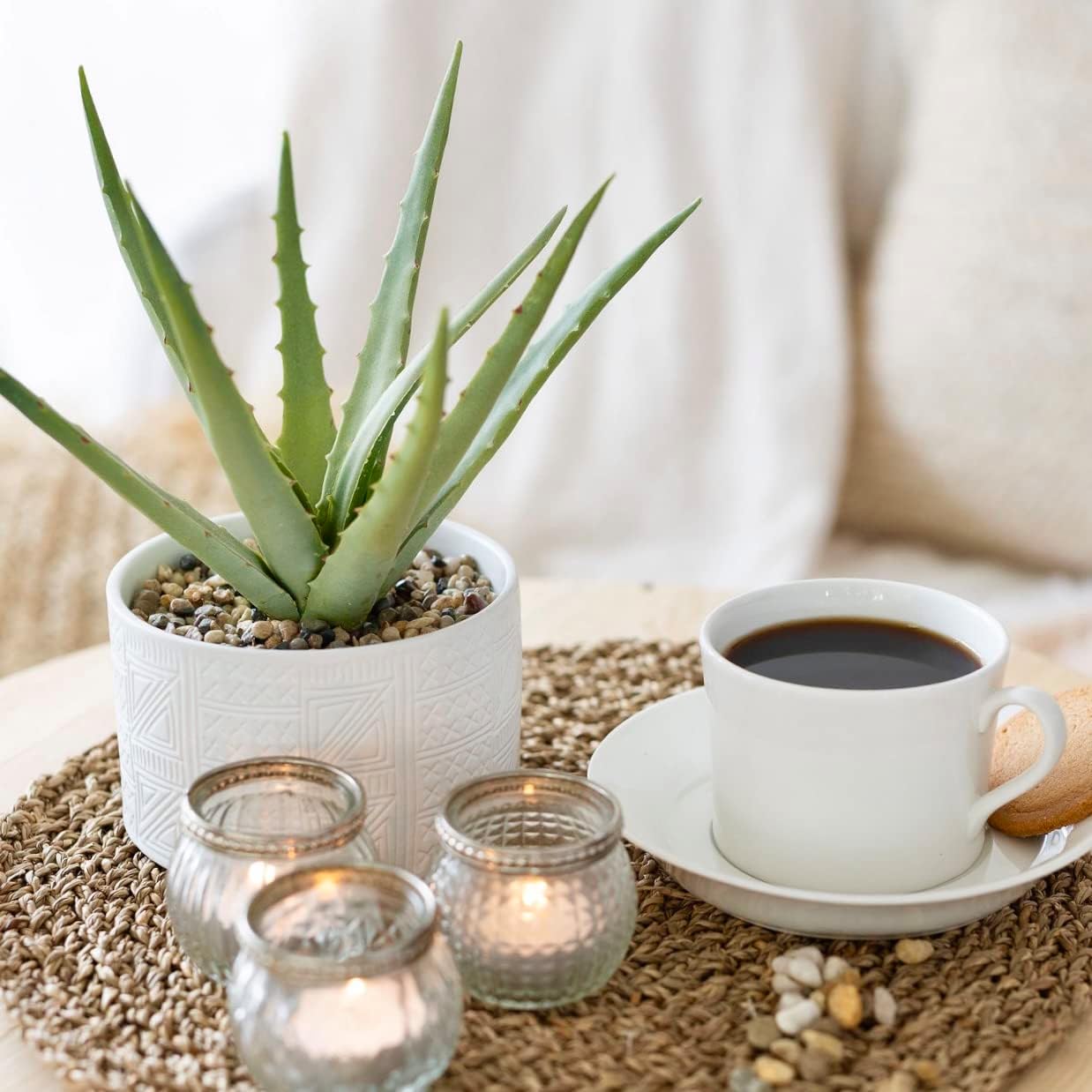 Artificial plant in white ceramic pot | 10" high sage green faux agave plant in white pot | fake plant for desk decor | Artificial agave for home decor indoor | Artificial succulent for shelf decor