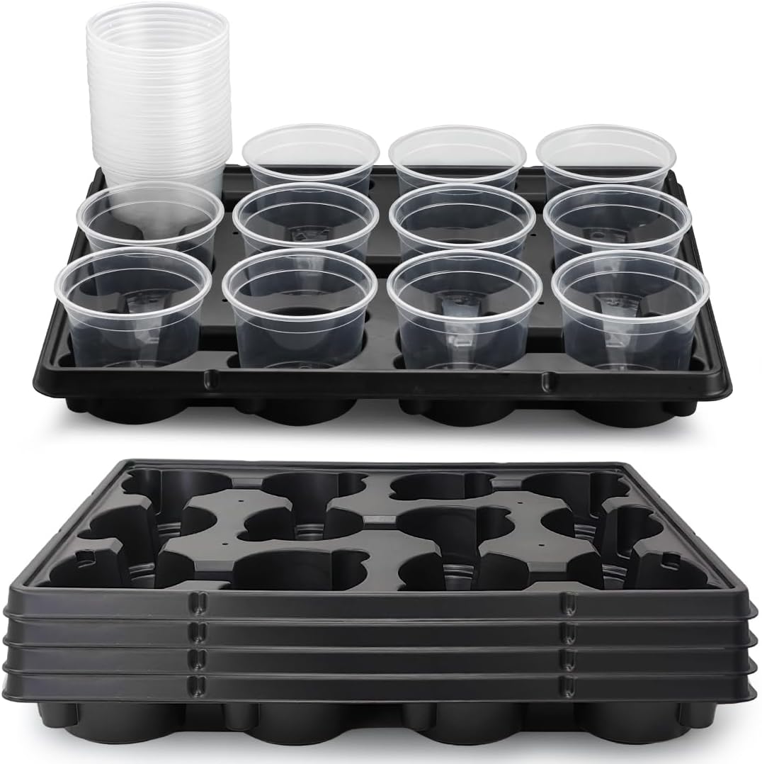 12 Cell Nursery Pot Trays 5 Pack with 4 Inch Clear Plant Pots 60 Pack, Thick Sturdy Seeds Starting Germination Shuttle Carrying Trays, Black Small Planter Nursery Propagation 5 Sets
