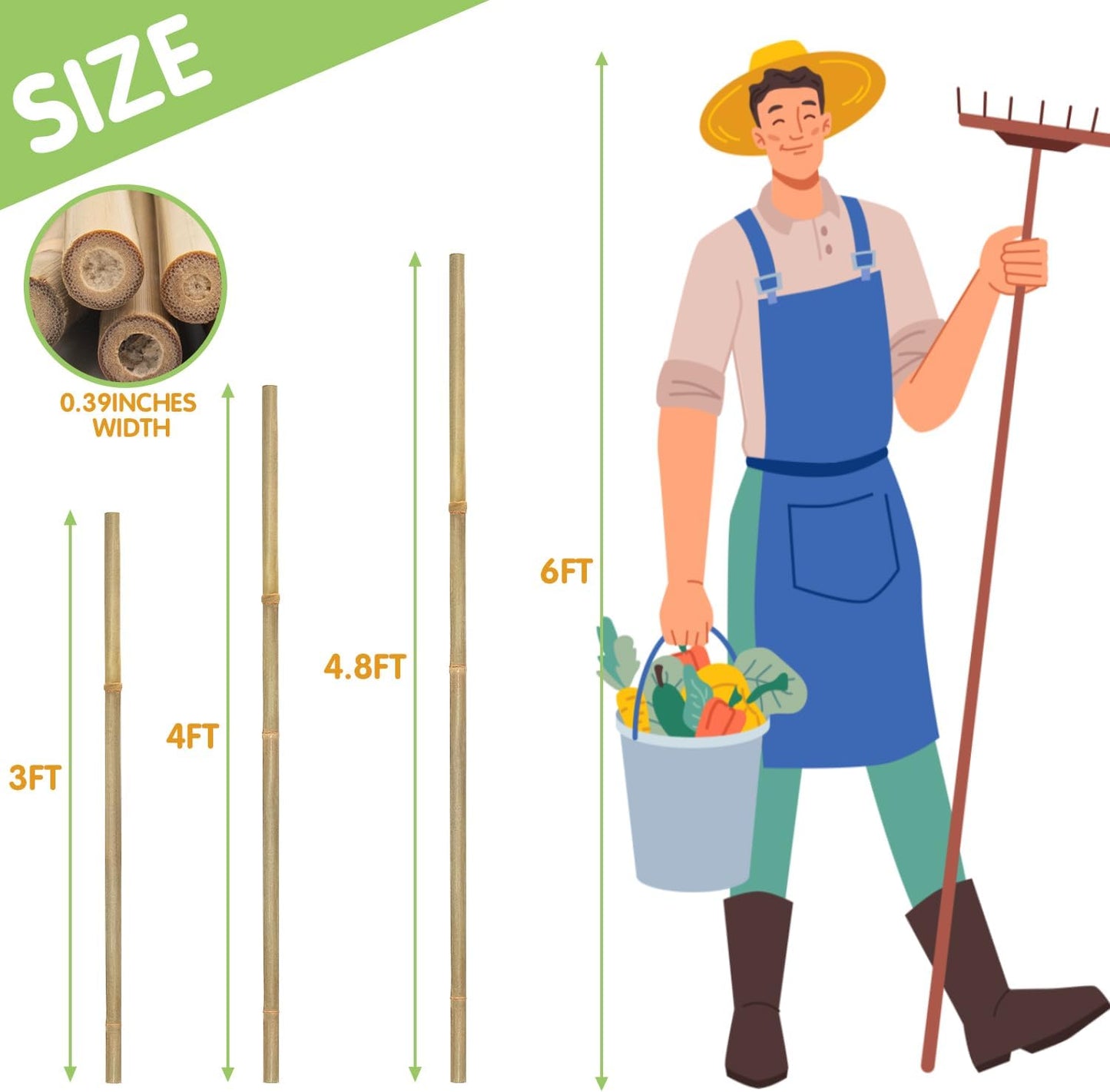 Plant Stakes,3FT Longer Sturdy Natural Bamboo Garden Stakes,GAGINANG 25Pcs Bamboo Sticks Trellis Support for Tomato, Vegetables Beans Trees Climbing Plants