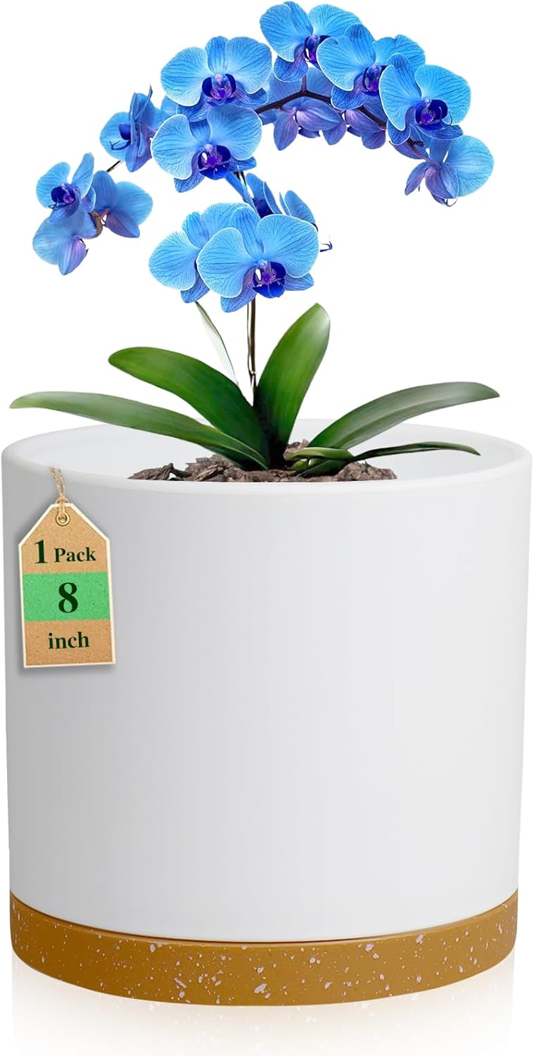 8 Inch Cylinder Flower Pots for Indoor Outdoor Plants, Medium Deep Plant Pots with Drainage Holes & Saucer, Decorative Plastic Planter Pots for Garden House Plants, White with Brown