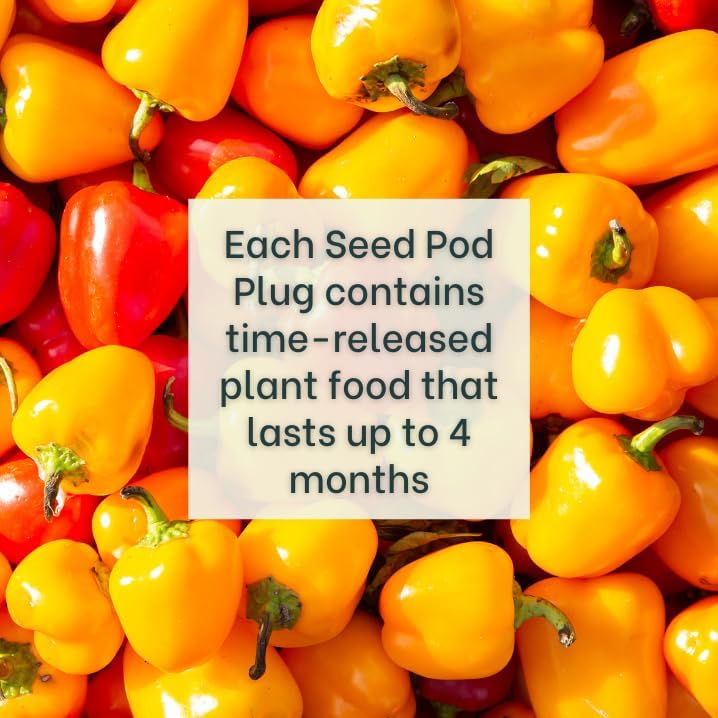 Mini Belle Pepper Mix - Complete Seed Pod Plugs with Plant Food - 10 Pods for Hyrdoponic Gardens, Click and Grow, Lettuce Grow and Outdoor Gardens