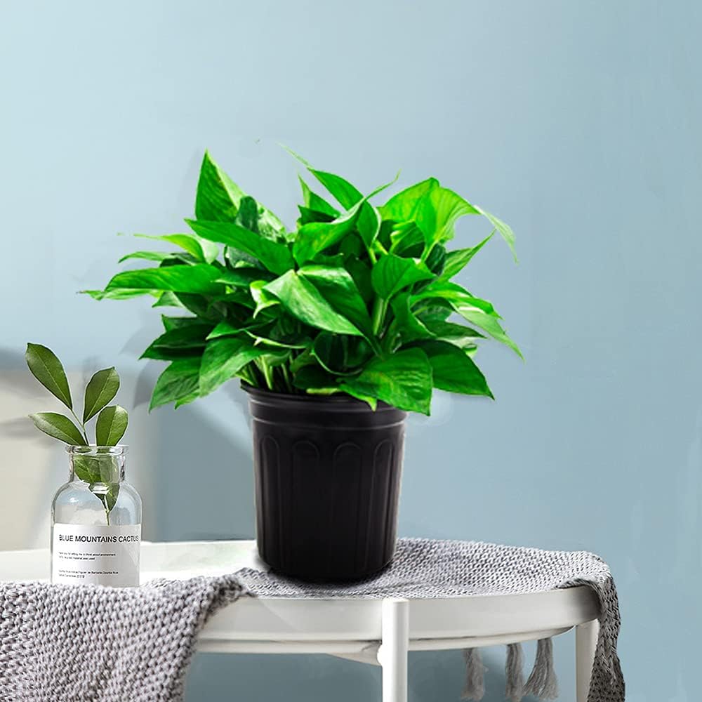 100-Pack 1 Gallon Flexible Flower Plant Nursery Pots, Plastic Plant Pots with Drainage Holes,Garden Flower Pots for Succulents, Seedlings, Cuttings, Transplanting