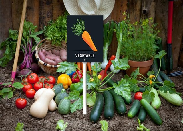 Eveokoki Aluminum Seed & Plant Labels - Plant Markes for Seedlings-Plant Tags for Pots - Garden Signs for Vegetable - Durable Markers for Plants Outdoor Waterproof - Garden Decor for Farmhouse