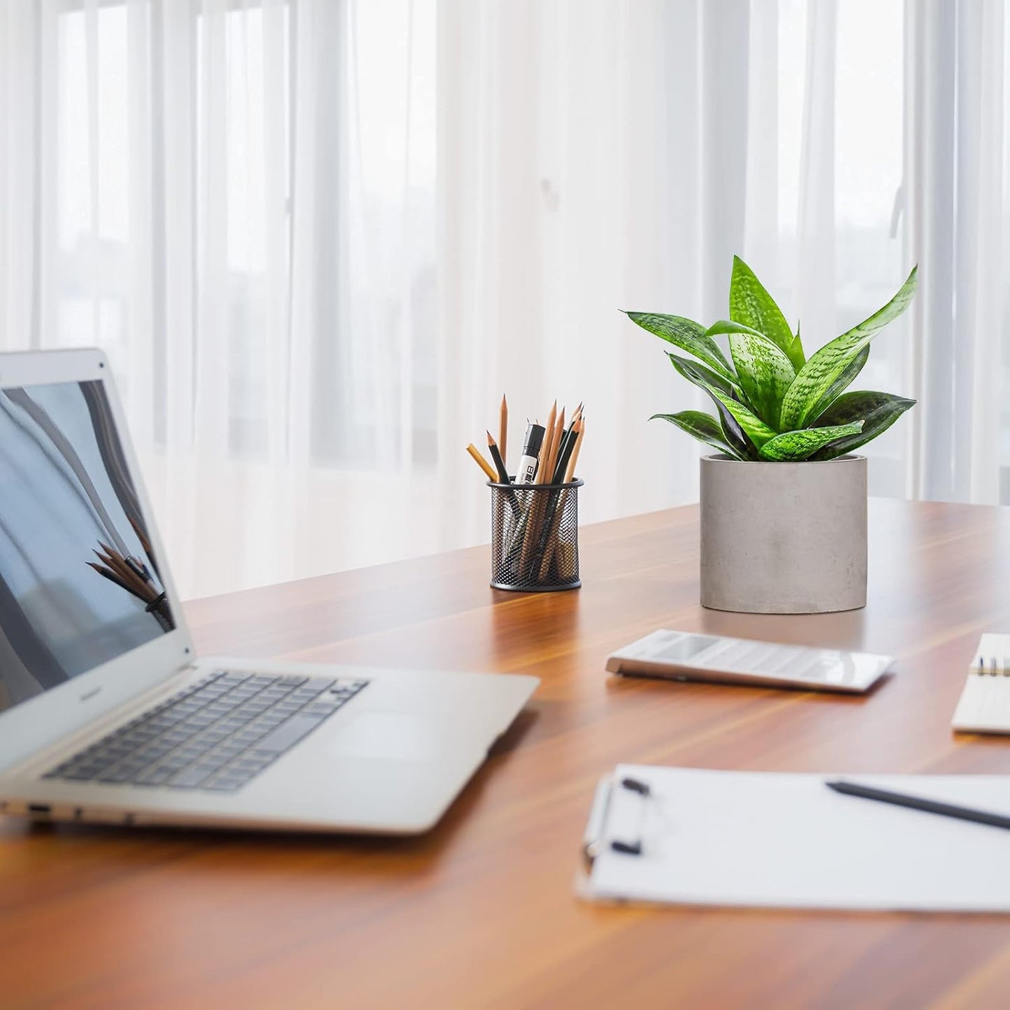 Ekirlin 3.5 in Plant Pot Indoor - Grey Cement Planters with Drain Hole, Removable Rubber Stopper, Non-Slip Soft Pad - Concrete Planter for Most Indoor Plants and Flowers