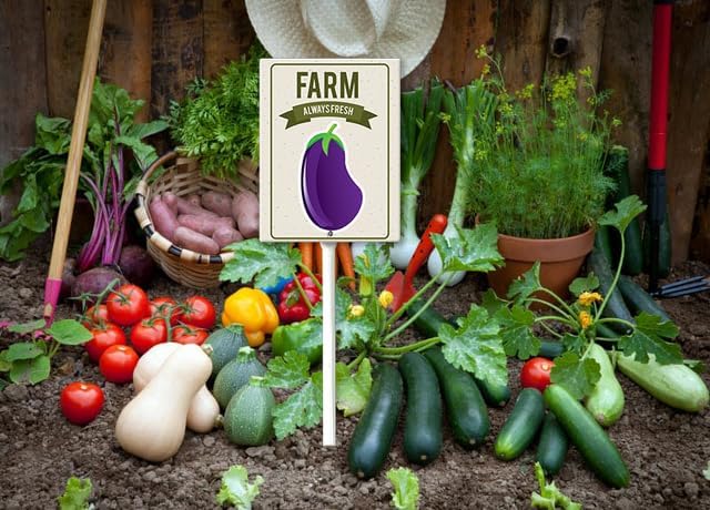 Eveokoki Aluminum Seed & Plant Labels - Plant Markes for Seedlings-Plant Tags for Pots - Garden Signs for Vegetable - Durable Markers for Plants Outdoor Waterproof - Garden Decor for Farmhouse