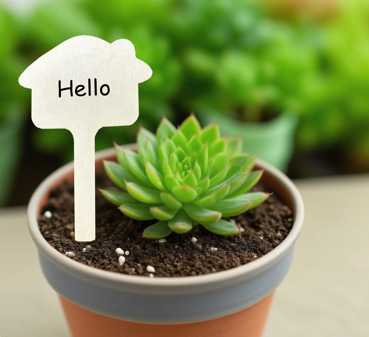 100 Pcs Wood Plant Labels, Natural Wooden Plant Marker Garden Sign Tags, T-Type Garden Markers for Succulents, Herbs, Seedlings, Potted, Flowers, Vegetables (House)