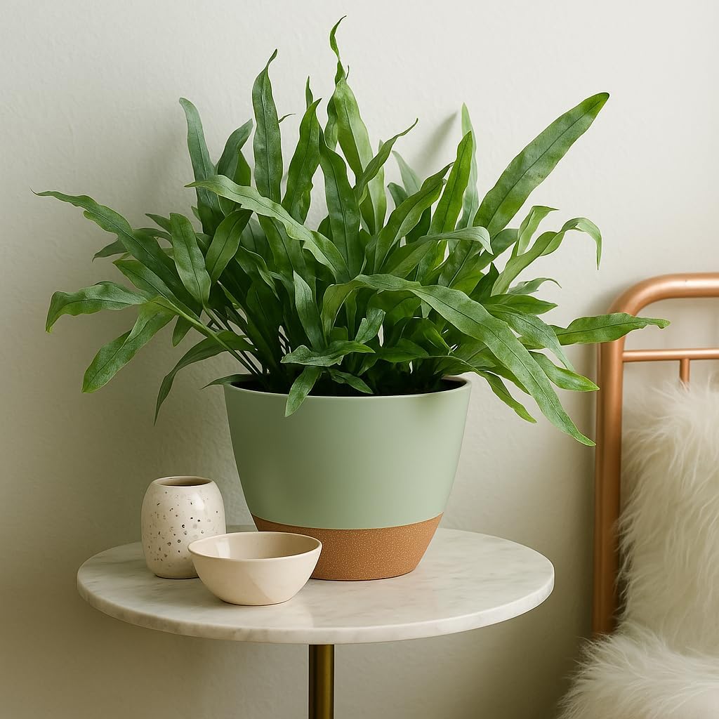 Plant Pots 12/10/9 inch Set of 3, Self Watering Flower Pots Indoor Outdoor, Planters with Drainage Hole Saucer Reservoir, Green