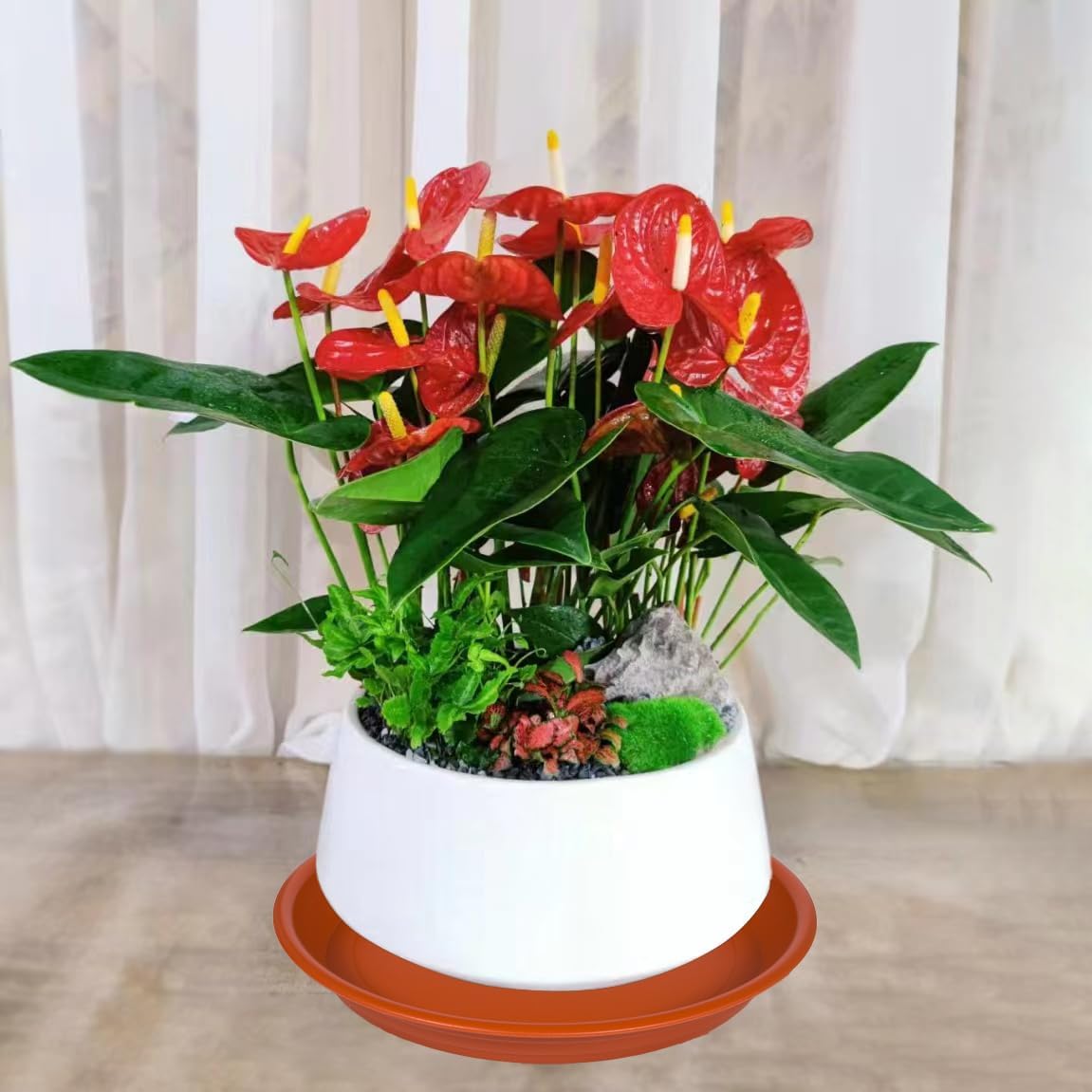 2 Pack Plant Saucer Drip Tray 11 12 inch, Pot Base for Plants Indoor, Plastic Flower Planter Saucers and Drip Trays for Outdoors, Heavy Durable Plant Plate Water Catcher (12", Terracotta)