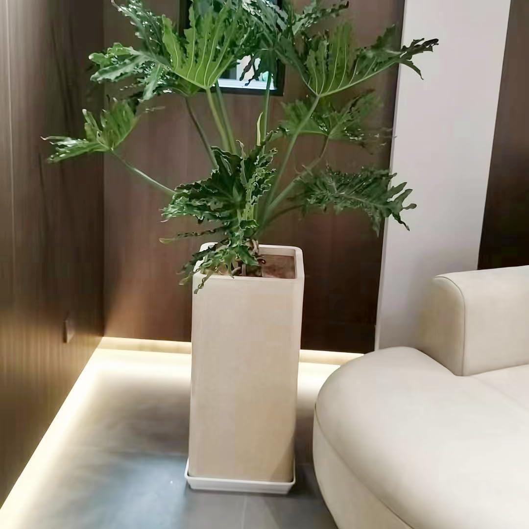 Square Plant Saucer 14 Inch 2 Pack, Durable Plastic Plant Trays Plant Pot Saucers, Square Planters for Indoors and Outdoors Plants, Garden Large Plant Saucers for Pots Black.