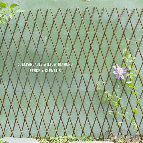Natural Lattice Willow Trellis Fence for Climbing Plants,Expandable Garden Fence Wall Panel, Outdoor Decorative Wood Fence (4 Pieces)
