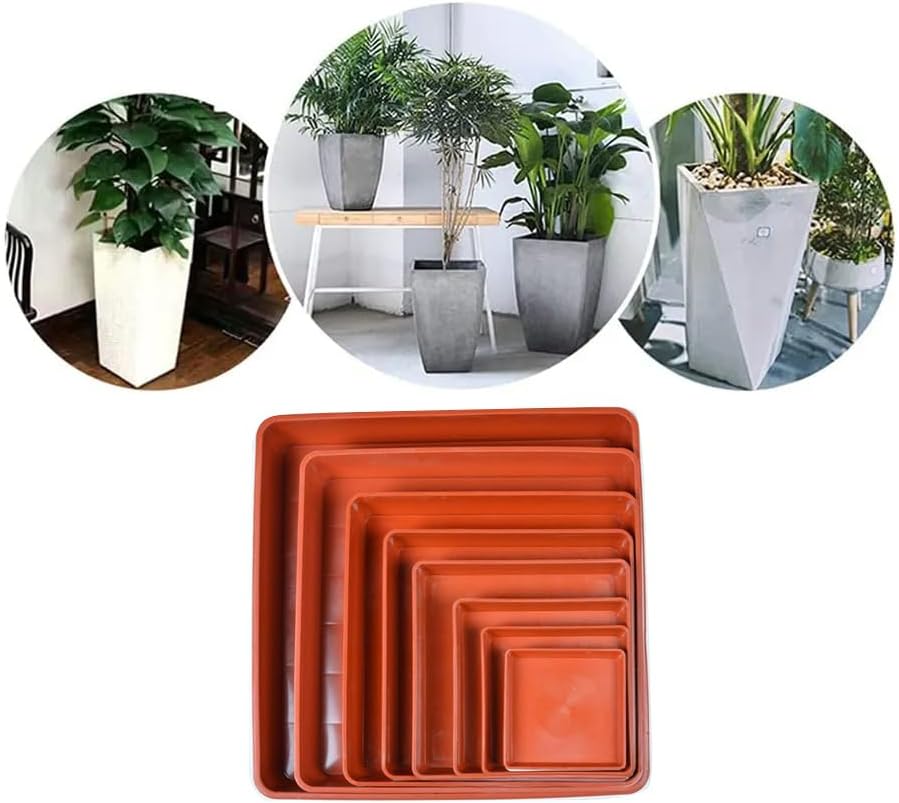 5 Pack Square Plant Saucer 10 Inch, Saucer for Plant Pots, Plastic Plant Water Dray Tray Plants, Pot Saucers for Plants Square Planters for Indoors and Outdoors Plants.