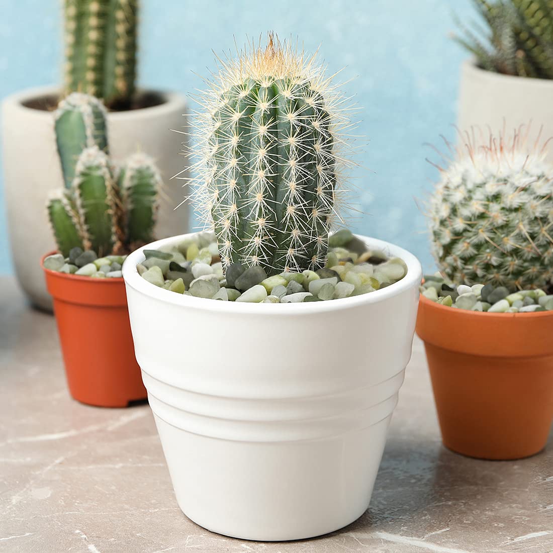 2LB Succulent and Cactus Jade Pebbles, 3/8 Inch Natural Decorative Polished Stones, River Rocks for Indoor Plants, Vases, Planters and Outdoor Gardening