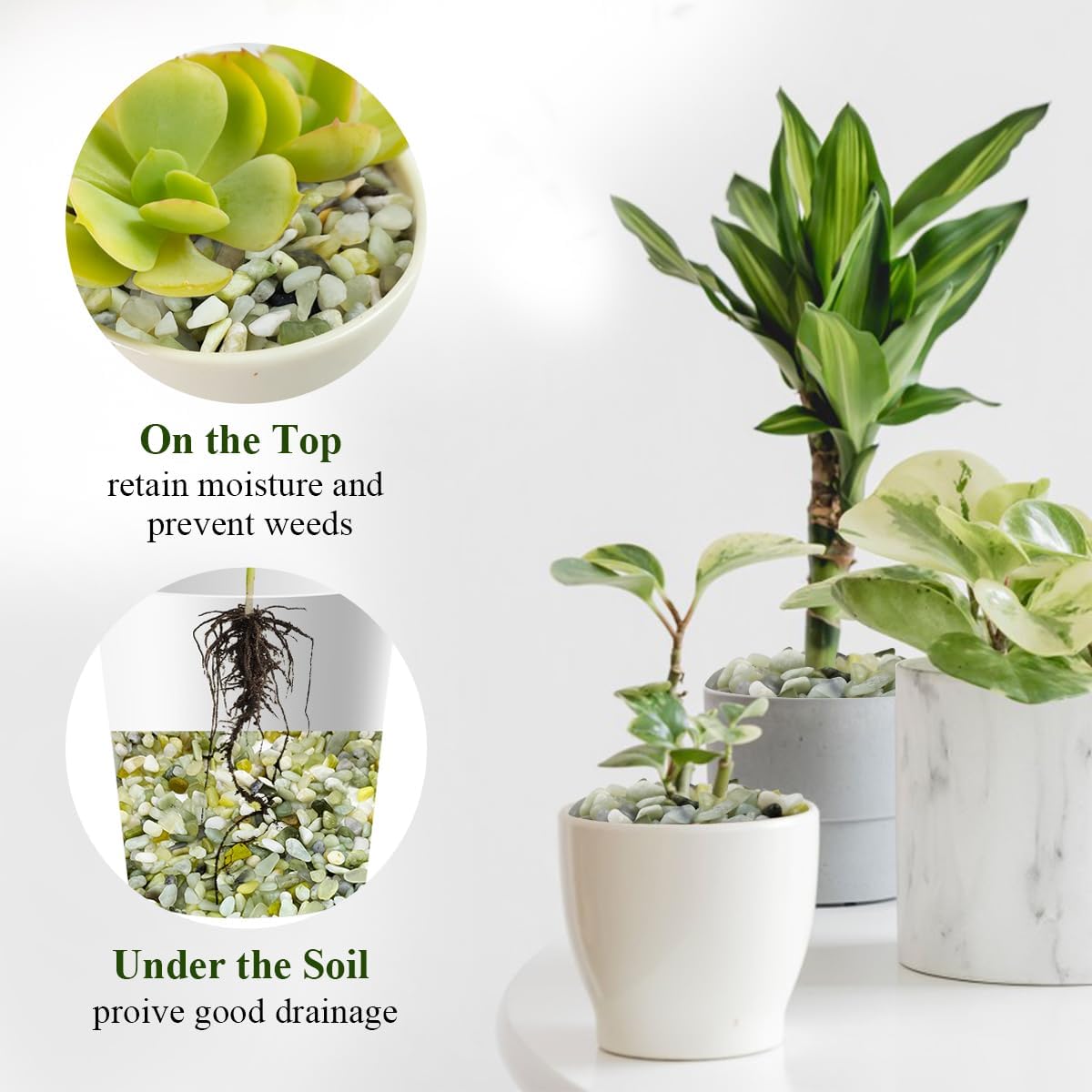 10 lbs Pebbles for Landscaping,1/4 Inch Polished Green Pea Gravel Small Rocks for Plants, Succulents, Cactus, Vases, Terrarium and Outdoor Gardening